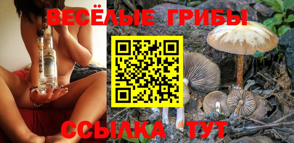 Галлюциногенные грибы Psilocybine cubensis  Вход с VPN  Горячий Ключ 